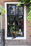 904766 Afbeelding van een kat in een venster van het café 't Heen en Weer (Donkere Gaard 13) te Utrecht.